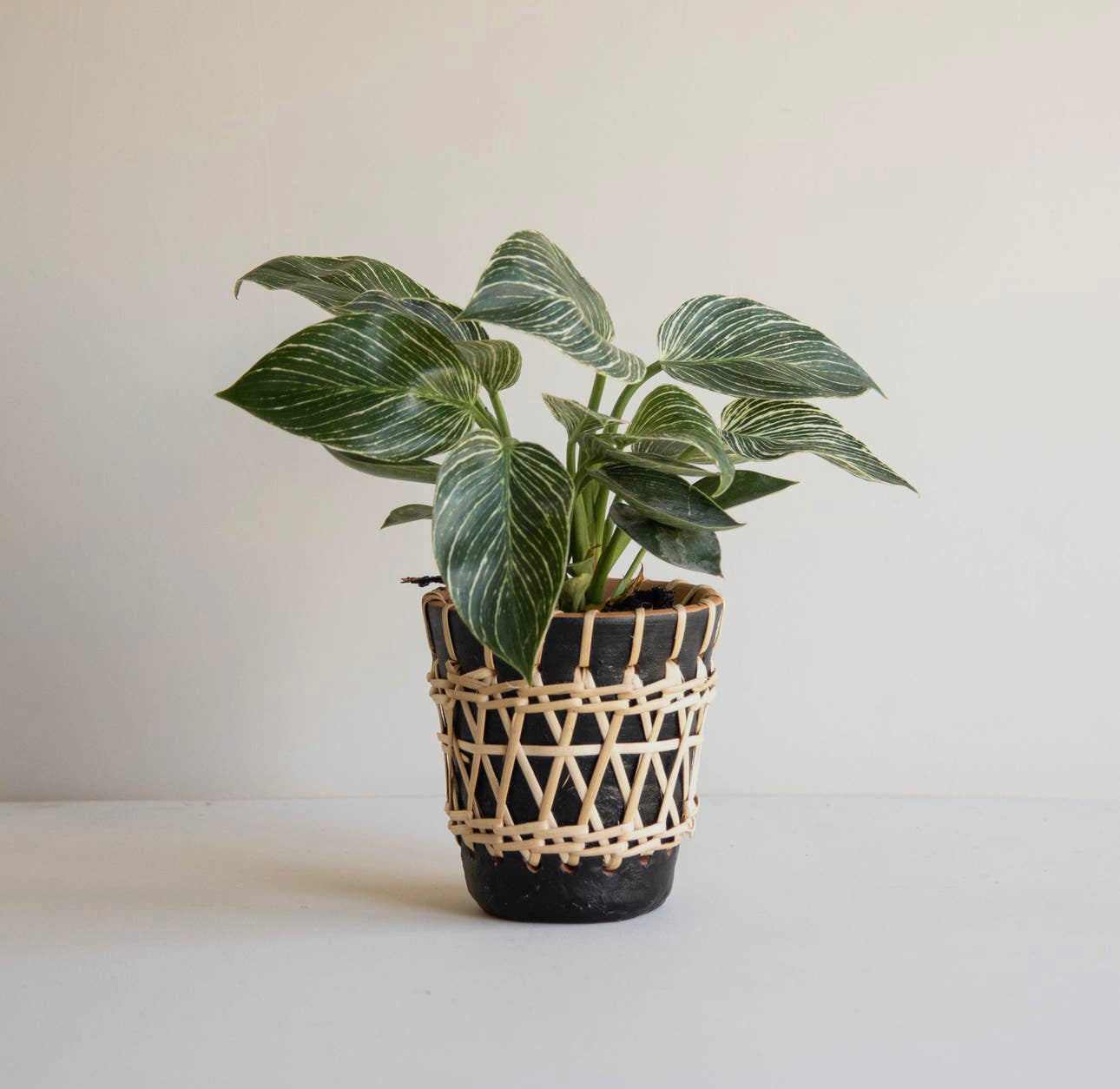 Terracotta Woven Small Planter