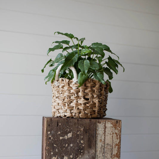 Sea grass Basket